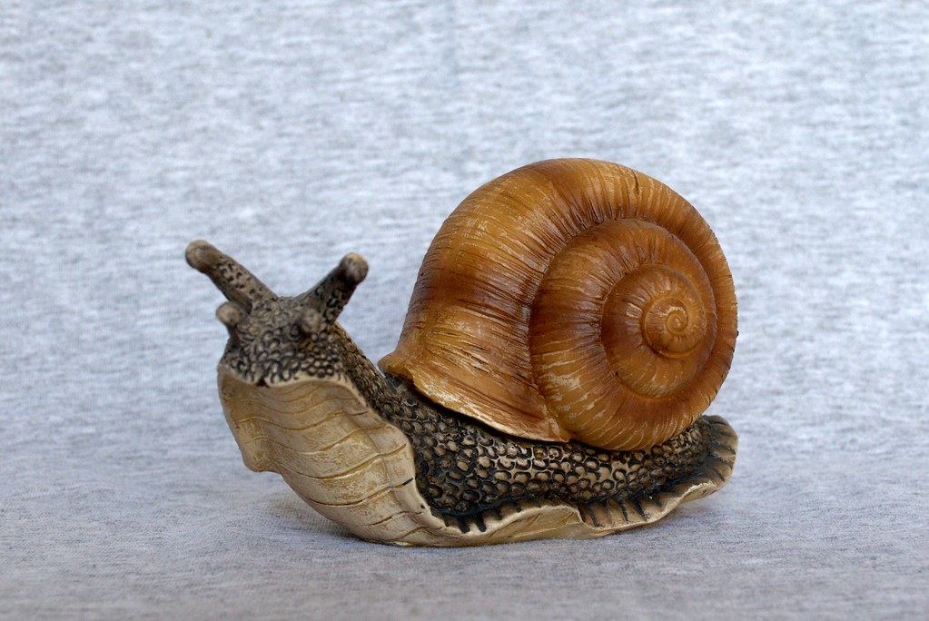 snail name generator